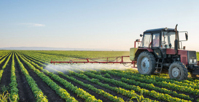 Agricultura convoca ayudas para la creación de organizaciones de productores de carácter supraautonómico