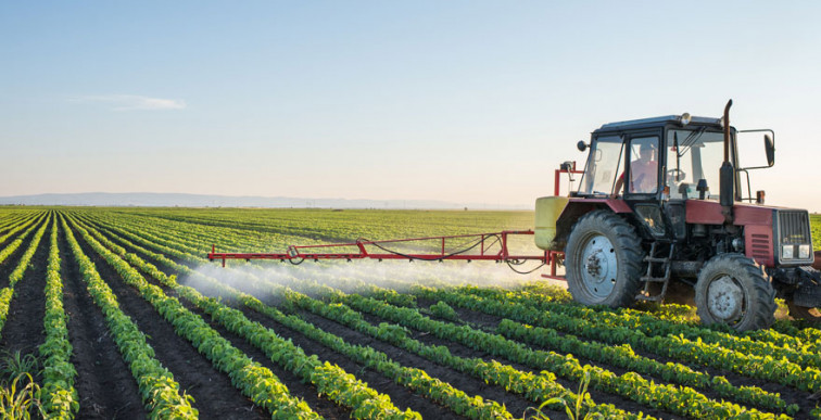Agricultura convoca ayudas para la creación de organizaciones de productores de carácter supraautonómico